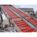 Small tomato paste machine and equipment